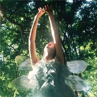 大卫·爱登堡：歌声奇迹